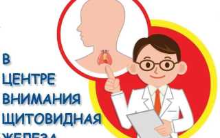 Сердце и щитовидная железа – очевидная связь, про которую не все знают