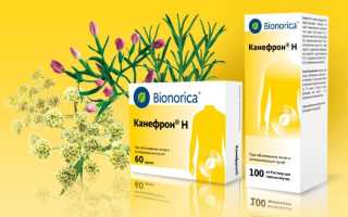 Канефрон: натуральное средство против цистита
