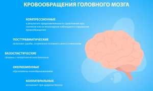 Артериальная недостаточность головного мозга: клиника, принципы диагностики и лечения