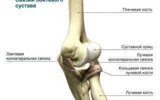 Перелом локтевого сустава: как восстановиться после травмы