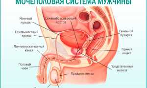 Контроль мочевого пузыря у мужчин: как справиться с проблемой