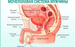 Контроль мочевого пузыря у мужчин: как справиться с проблемой
