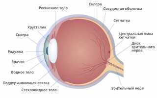 Ретинобластома: злокачественная опухоль сетчатки у детей