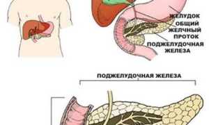 О синдроме нарушенной ассимиляции