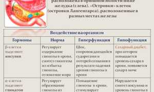 Что такое гипофункция и гиперфункция поджелудочной железы?