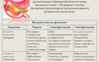 Что такое гипофункция и гиперфункция поджелудочной железы?