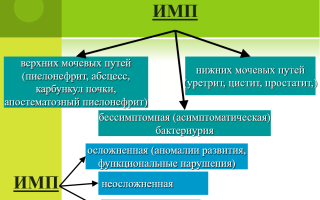 Бессимптомная бактериурия у детей и взрослых: как протекает и лечится