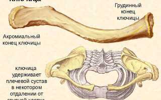Перелом ключицы: каков план лечения?