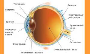 Как определить цвет глаз у новорождённого