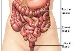Как избавиться от дисбактериоза кишечника