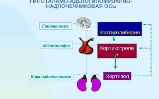 Нехватка гормонов может стать фатальной: гипофункция коры надпочечников