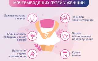 Инфекции мочевыводящих путей у женщин