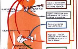 Гипогонадизм — гормональный дисбаланс, рушащий качество жизни
