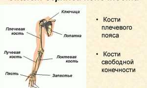 Травма предплечья: первая и квалифицированная медицинская помощь