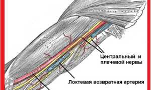 Почему немеют руки и ноги: что делать и куда обращаться