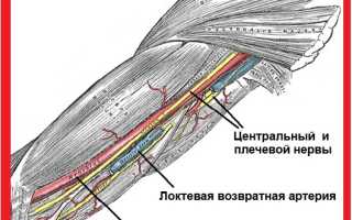 Почему немеют руки и ноги: что делать и куда обращаться