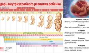 Выкидыш — преждевременное прерывание беременности