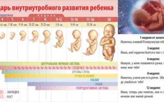 Выкидыш — преждевременное прерывание беременности