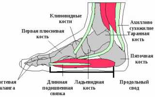 Повреждения пятки: первая помощь и профилактика осложнений