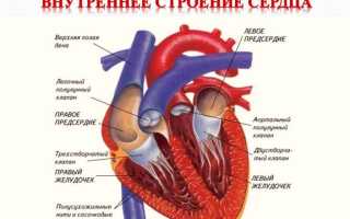 Аритмия сердца: что это такое, особенности, варианты и способы лечения