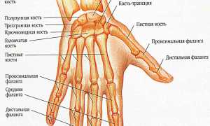 Перелом пальца на руке — виды и лечение