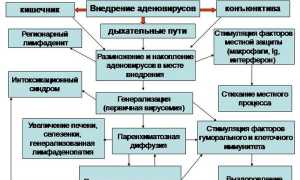 Аденовирусная инфекция — коварный враг детского здоровья