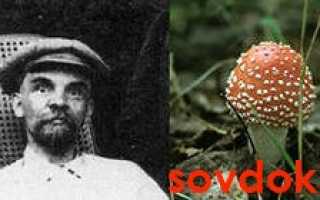 Нейропротекция при нейросифилисе