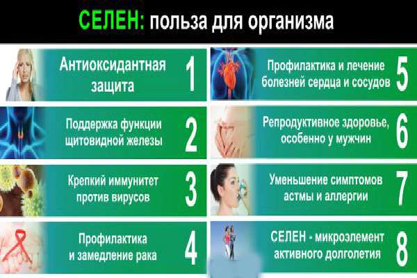 Чем полезен селен