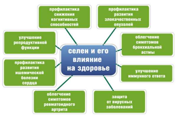 Чем полезен селен