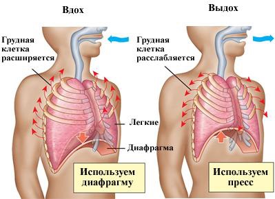 Дыхательная гимнастика против астмы