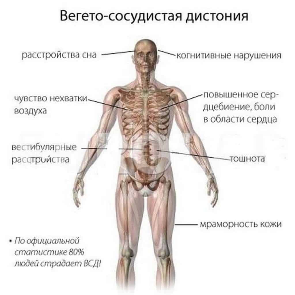 Заболевание проявляется множеством симптомов