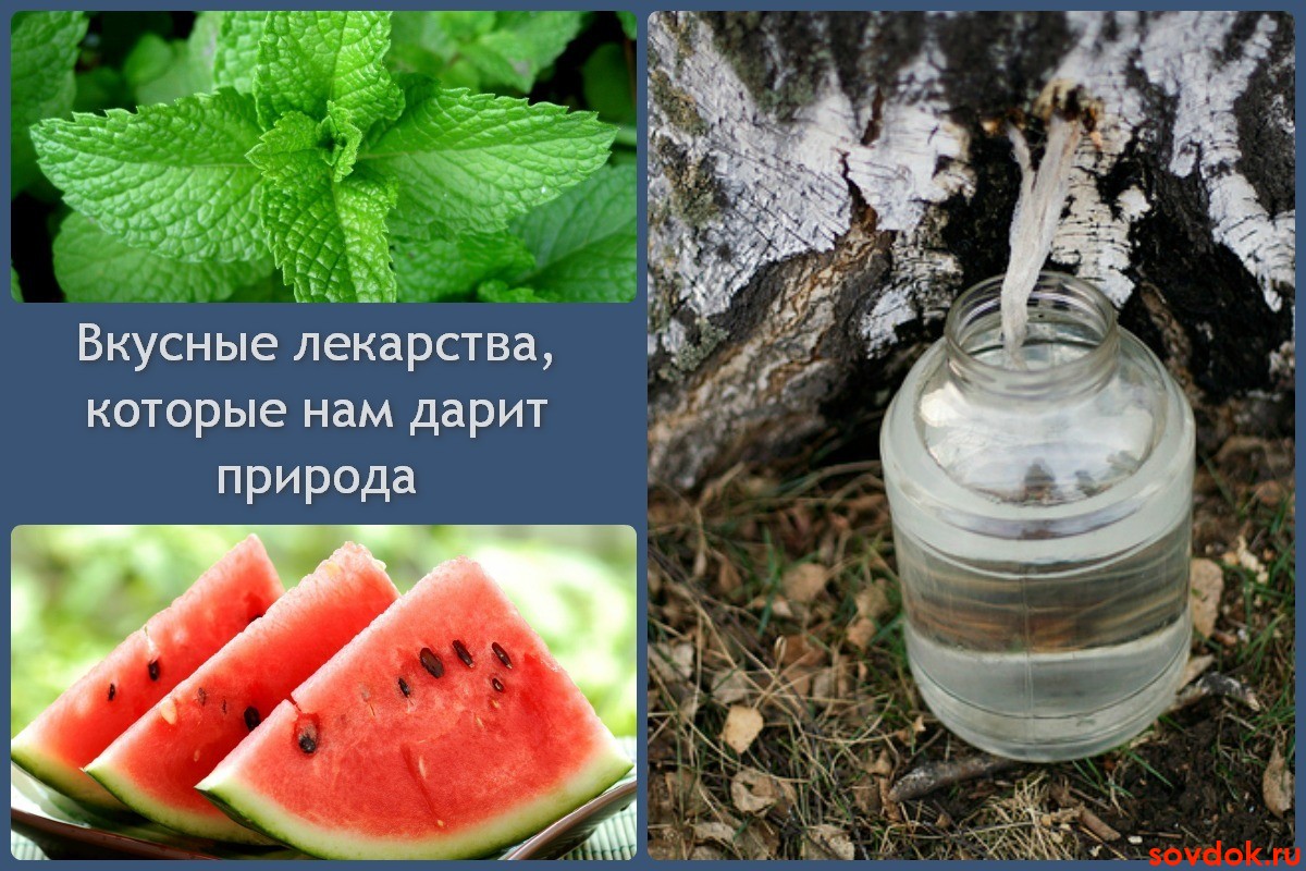 Продукты, которые помогут вывести камни из почек