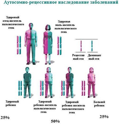 Аутосомно-рецессивный тип наследования