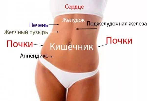 Боль с левой стороны под ребрами может быть спровоцирована патологиями различных внутренних органов, располагающихся в данном участке тела.