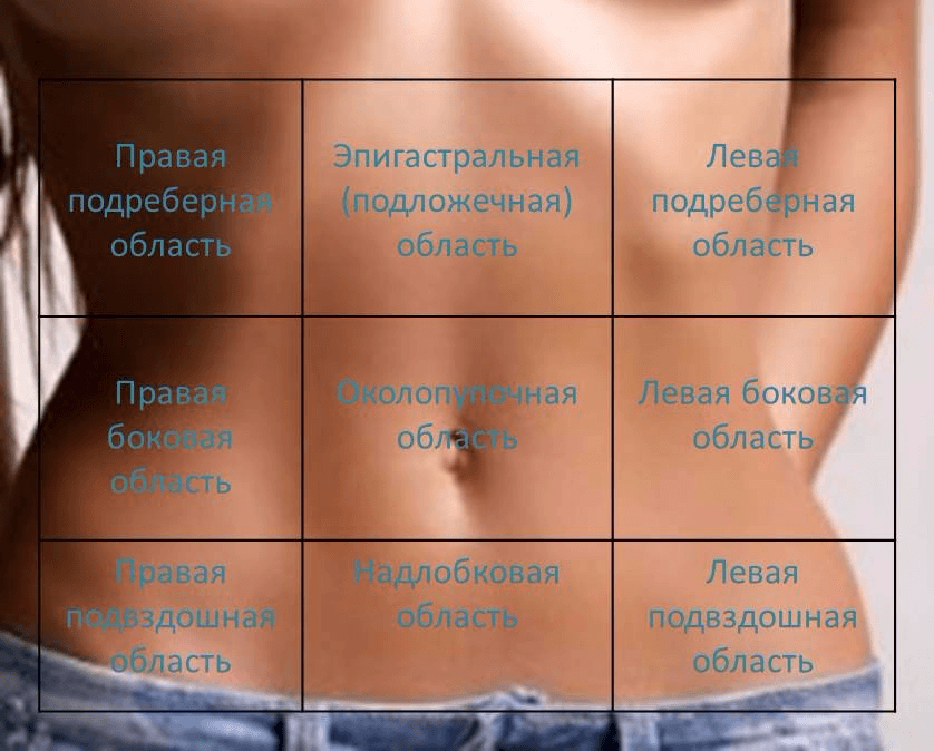 Области живота