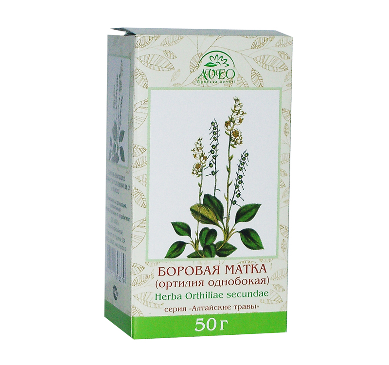 Чай боровая матка