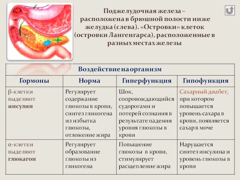 Что такое гипофункция и гиперфункция поджелудочной железы?