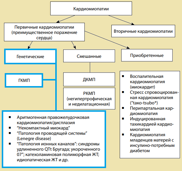 Действующая Общая классификация кардиомиопатий (Maron, Towbin, Thiene, 2006)