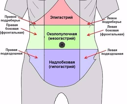 эпигастрий