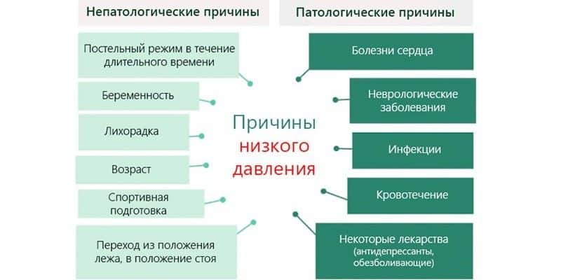 Факторы, обуславливающие понижение АД