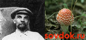 ленин и сифилис