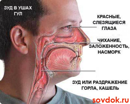 изменения при рините