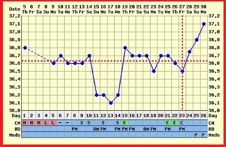 измерение базальной температуры 