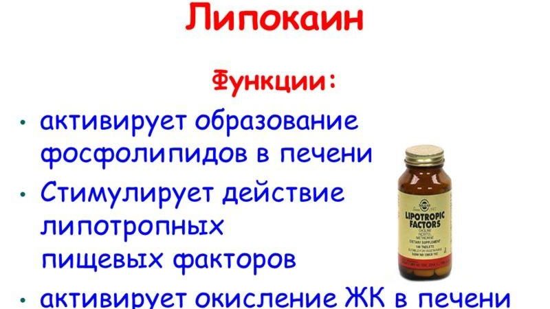 Какие гормоны вырабатывает поджелудочная и на что они влияют?