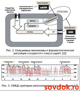 кальциевые механизмы и критерии СМАД