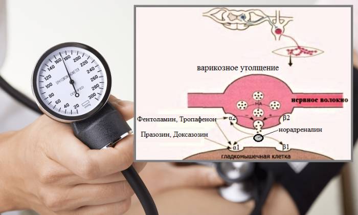 Кардиопротекторный механизм действия GPCR-рецепторов