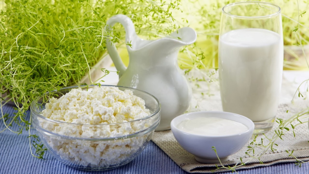 кисломолочные продукты