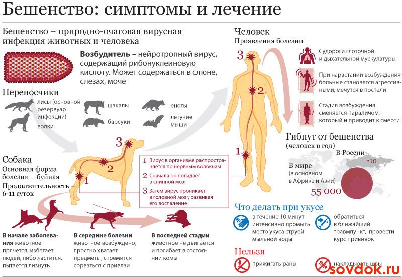 круговорот болезни