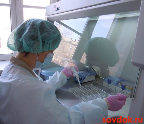 лаборант диагностирует цмв