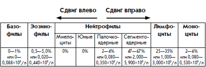 Лейкоцитарная формула